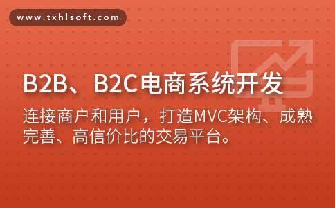 b2b,b2c电商系统开发